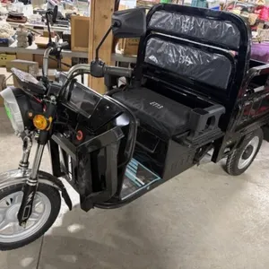 2026 Unused Electric Tricycle Et13