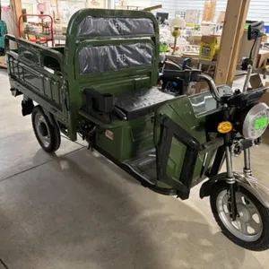2026 Unused Electric Tricycle Et13