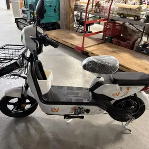 2026 Unused Two Wheeled Electric Scooter Irev