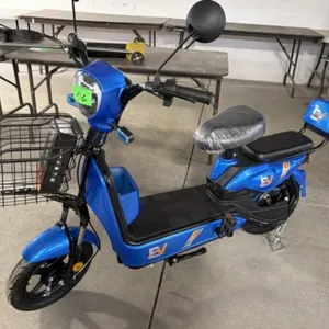 2026 Unused Two Wheeled Electric Scooter Irev