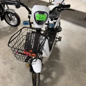 2026 Unused Two Wheeled Electric Scooter Irev