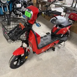 2026 Unused Two Wheeled Electric Scooter Irev