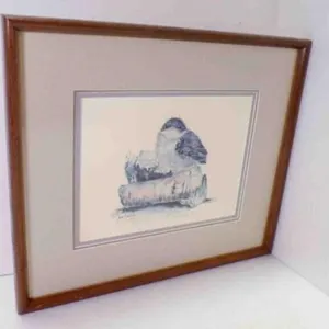 Signed & Numbered Matted & Framed Bird Art
