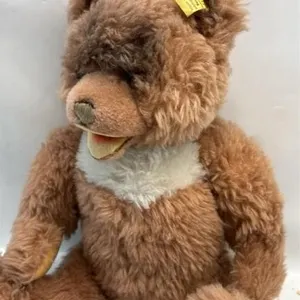 Antique Steif Teddy Bear Made in Germany