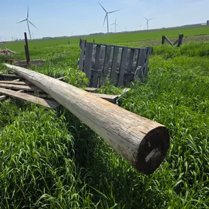 Approx 30’ Long Telephone Pole