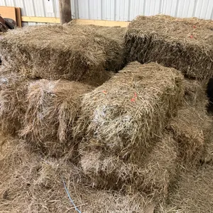 (19) 2-Year-Old Small Square Bales Of Ditch Hay, Buying All For One Money