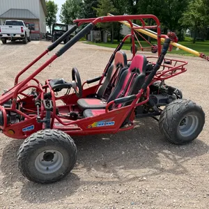 Trail Master 300 CRS 2 Seat Go-Kart, 5 Point Harness (New Ones Will Be Included But Not Installed),