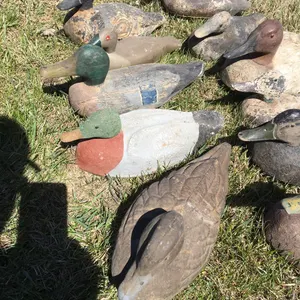 Ducks some wooden, some not