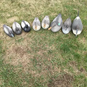 8 plastic ducks
