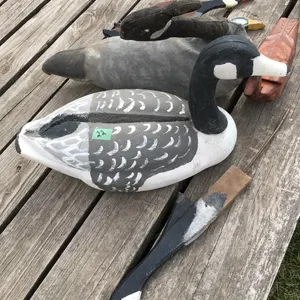 Misc. ducks & geese