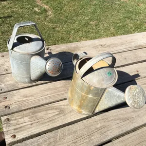 2 galvanized water cans