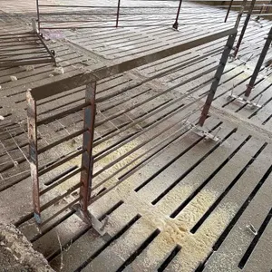 12 - Approx 5 1/2’ Hog Confinement Gates