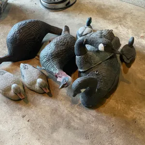 Assorted Bird Decoys