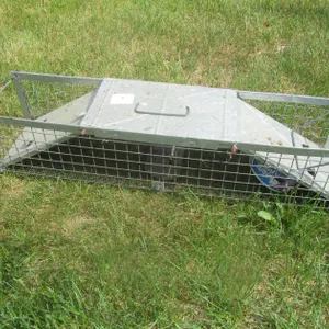 Havahart Animal Trap