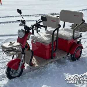 2026 SDLANCH MGC40 ELECTRIC TRICYCLE
