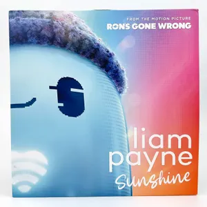 LIAM PAYNE SUNSHINE VINYL LP RECORD ALBUM