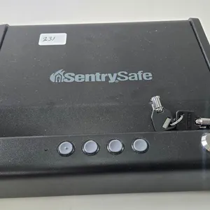 Sentry locking hand gun case/safe