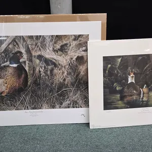 2 Unframed limited edition prints including "The New Homesteader" by Darren Haley, 1575/2000, and Ma