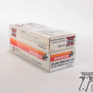 Two full 20 count boxes Winchester 22 .250 55 gr pointed soft point