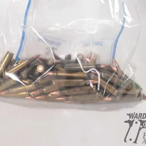 Bag containing 78 .223 rem reloads