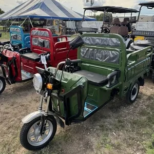 IRET13 60v electric utility cart, manual dump