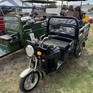 IRET13 60v electric utility cart, manual dump