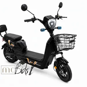 Unused EV Electric 2 Wheel Scooter