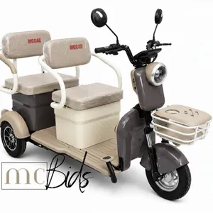 Unused Purple Electric 3-Wheel Mini Golf Cart Model MGC40