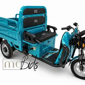 Unused Blue 3-Wheel Electric Tricycle Model ET13