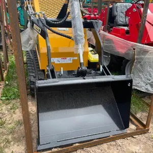 Compact Track Loader