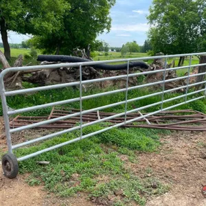 Galvanized Gate
