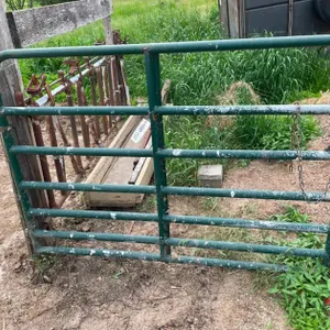 Green 5ft Gate