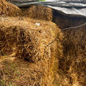 Jorgensen Estate Auction - Conrath, WI