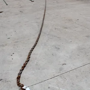 Chain