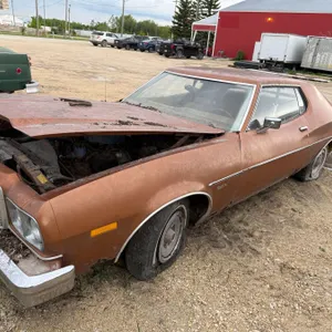 1976 Ford Gran Torino 2-Door Hardtop V8 – Project Car, No TOD