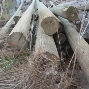 15 Treated Hydro Poles, 20-30 FT