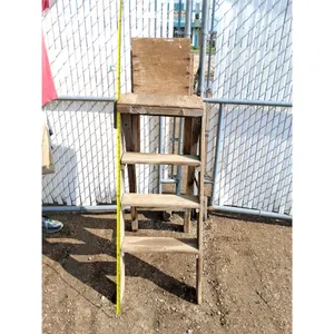 **Wooden Ladder No Shipping