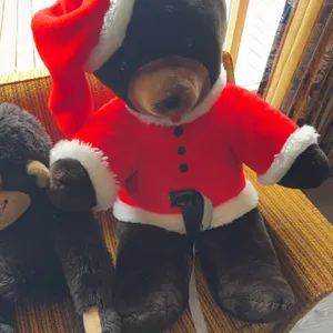 Plush bear wearing a Santa Claus jacket and hat, alongside a plush monkey. Both items are made of sy