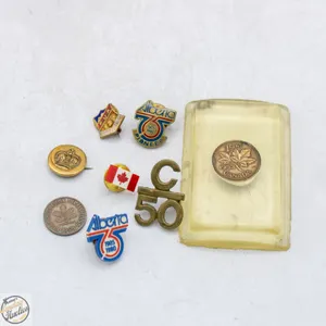COLLECTORS PINS LOT ETC