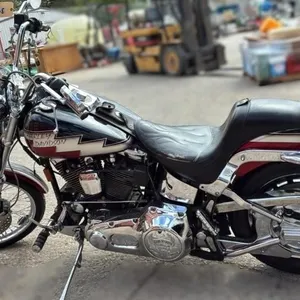 1996 Harley Davidson Cruiser/Touring MC Soft Tail