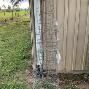 Tomato cage lot