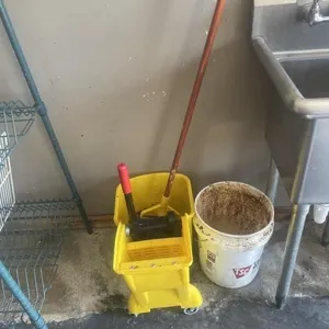 Mop bucket with mop and plastic bucket