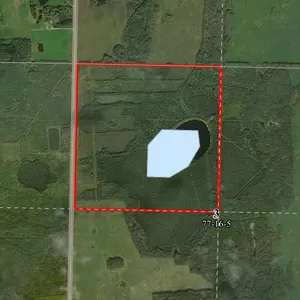 Government of Alberta - Grazing License Rights - PUBLIC AUCTION (Multiple Municipalities, AB)