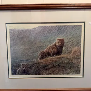 Framed Print "Caution" by Carl Brenders
