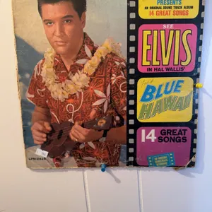 Elvis Presley Record and Memorabilia Lot