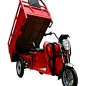 2026 Sdlanch ELECTRIC TRICYCLE ET13  NO TITLE