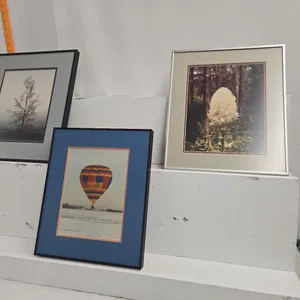 Framed Photos (3)