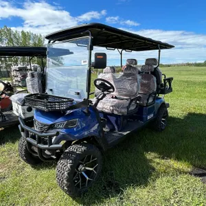 SDLCG100 GOLF CART WHITE 12 INCH OFF-ROAD TIRES, 10.1-INCH LARGE SCREEN WITH REVERSE IMAGE, LUXURIOUS SEATS WITH HEADRESTS, FRONT BASKET, CARBON FIBER