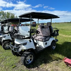 SDLCG80 GOLF CART WHITE 12 INCH OFF-ROAD TIRES, 10.1-INCH LARGE SCREEN WITH REVERSE IMAGE, LUXURIOUS SEATS WITH HEADRESTS, FRONT BASKET, CARBON FIBER 