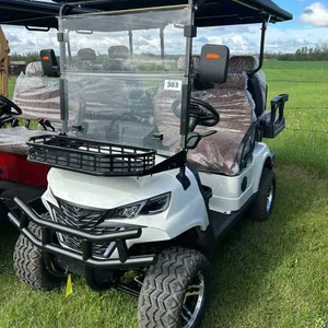 SDLCG80 GOLF CART WHITE 12 INCH OFF-ROAD TIRES, 10.1-INCH LARGE SCREEN WITH REVERSE IMAGE, LUXURIOUS SEATS WITH HEADRESTS, FRONT BASKET, CARBON FIBER 